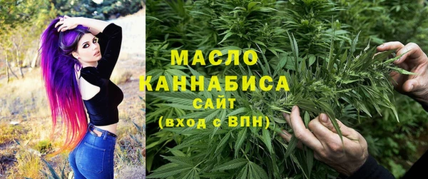 сатива Алзамай